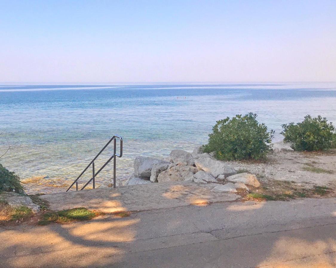 Todor Seaside Apartments Lovrečica Eksteriør bilde