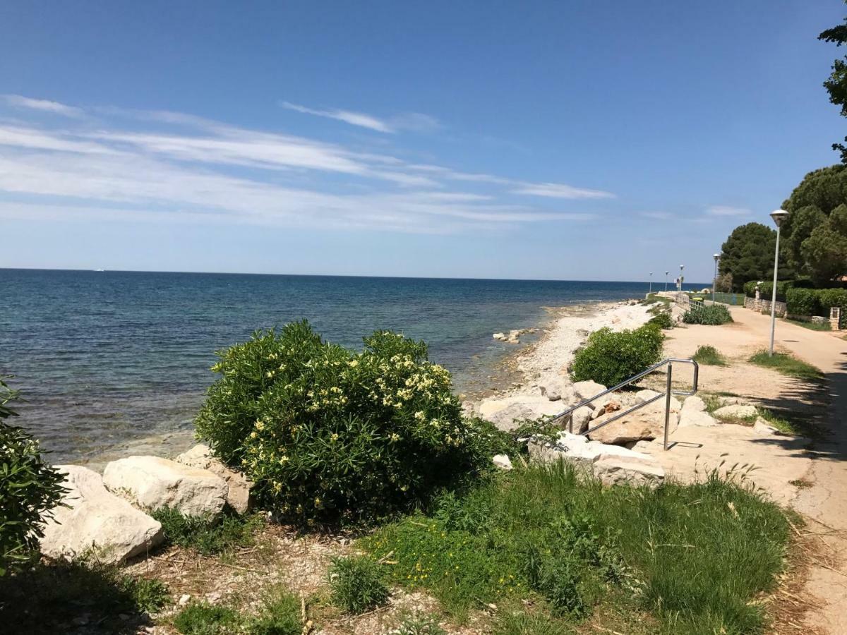 Todor Seaside Apartments Lovrečica Eksteriør bilde